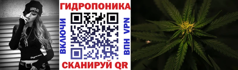 Купить закладку Конопля  COCAIN  СОЛЬ  Псилоцибиновые грибы  Меф мяу мяу  Амурск