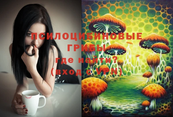 jwh Лиски