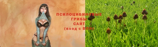 jwh Лиски