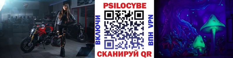 Купить  Амурск  Псилоцибиновые грибы мицелий 